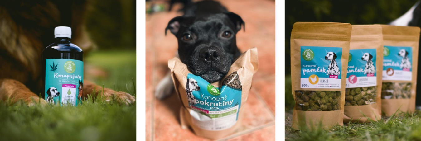 UltraPet -  Instagram (2)_1